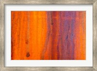Framed Details Of Rust And Paint On Metal 5