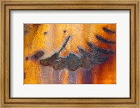 Framed Details Of Rust And Paint On Metal 6