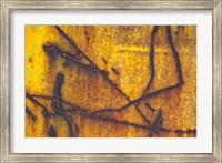 Framed Details Of Rust And Paint On Metal 12