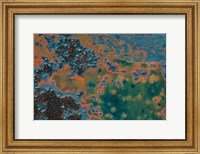 Framed Details Of Rust And Paint On Metal 17