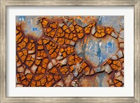 Framed Details Of Rust And Paint On Metal 25