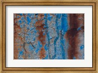 Framed Details Of Rust And Paint On Metal 26