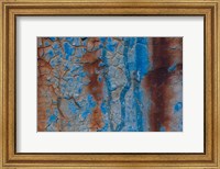 Framed Details Of Rust And Paint On Metal 26