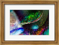 Framed Macro Of Colorful Glass 2