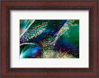 Framed Macro Of Colorful Glass 4