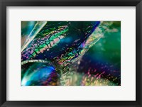 Framed Macro Of Colorful Glass 4