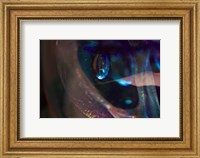 Framed Macro Of Colorful Glass 7