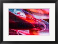 Framed Colorful Background 7