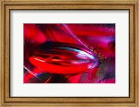 Framed Colorful Background 4