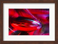 Framed Colorful Background 4