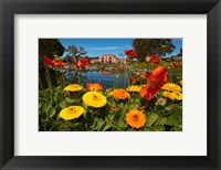 Framed Flowers And Blue Baths, Government Gardens, Rotorua, North Island, New Zealand