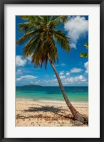Framed Cramer Park Beach, St Croix, US Virgin Islands