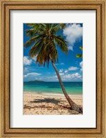 Framed Cramer Park Beach, St Croix, US Virgin Islands
