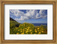 Framed Europe, Greece, Santorini Wildflowers And Ocean Landscape