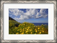 Framed Europe, Greece, Santorini Wildflowers And Ocean Landscape