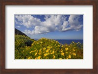 Framed Europe, Greece, Santorini Wildflowers And Ocean Landscape