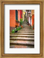 Framed Europe, Italy, Monterosso Cat On Long Stairway
