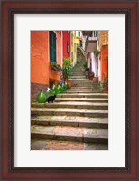 Framed Europe, Italy, Monterosso Cat On Long Stairway