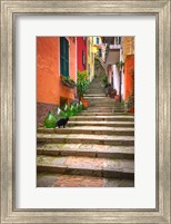Framed Europe, Italy, Monterosso Cat On Long Stairway