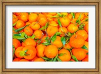 Framed Oranges Displayed In Market In Shepherd's Bush, Londo