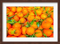Framed Oranges Displayed In Market In Shepherd's Bush, Londo