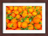 Framed Oranges Displayed In Market In Shepherd's Bush, Londo