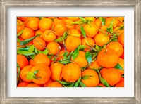 Framed Oranges Displayed In Market In Shepherd's Bush, Londo