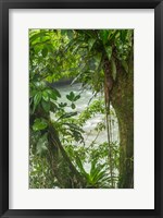 Framed Costa Rica, Sarapiqui River Valley, Rio Puerto Viejo River In Rainforest