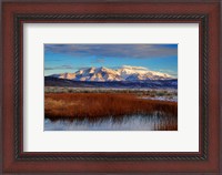 Framed California White Mountains And Reeds In Pond