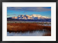 Framed California White Mountains And Reeds In Pond