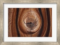 Framed Old Wood Design, California