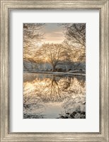 Framed Frosty Morning II