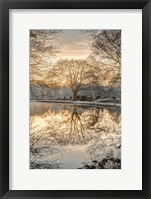 Framed Frosty Morning II