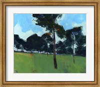 Framed Moorland Pines
