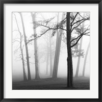 Framed Ethereal Trees
