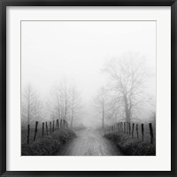 Framed Sparks Lane in Fog