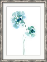 Framed Teal Florals