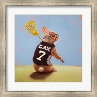 Framed Lax Bunny