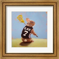 Framed Lax Bunny