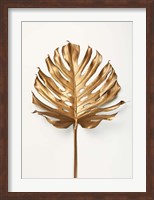 Framed Monstrea Gold Leaf