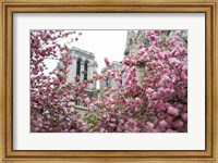 Framed Notre Dame 1