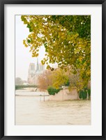 Framed Notre Dame 2