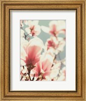 Framed Paris Petals 1