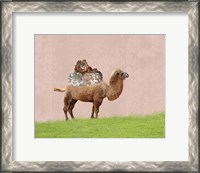 Framed Camel on Pink
