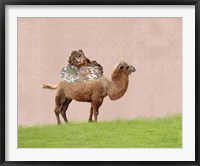 Framed Camel on Pink