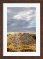 Framed Dunes Trail