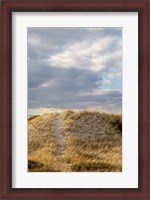 Framed Dunes Trail