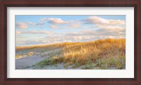 Framed Grassy Dunes Panorama