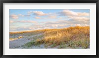 Framed Grassy Dunes Panorama