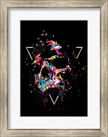 Framed Skull X